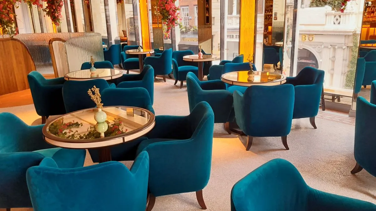 Gaia Mayfair