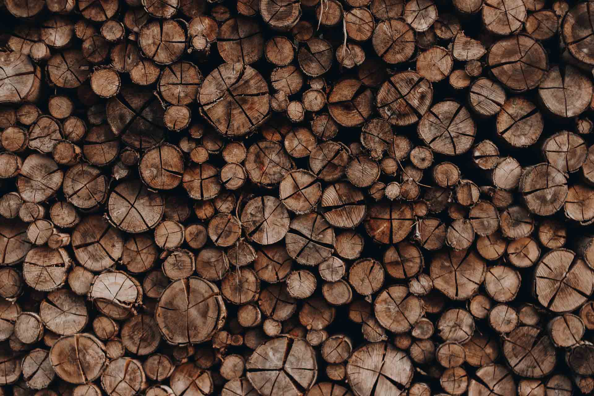Pile of cut timber